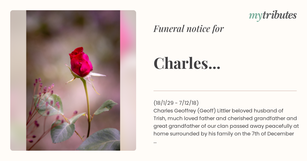 notice opengraph image