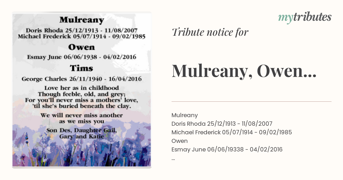 notice opengraph image