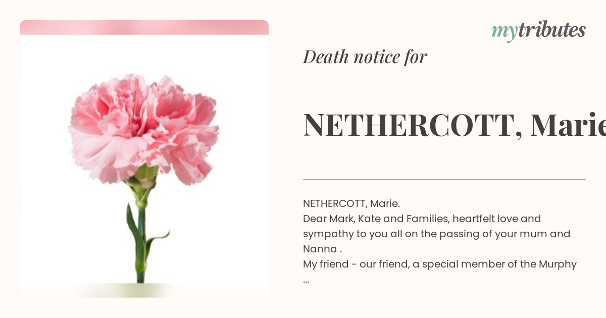notice opengraph image