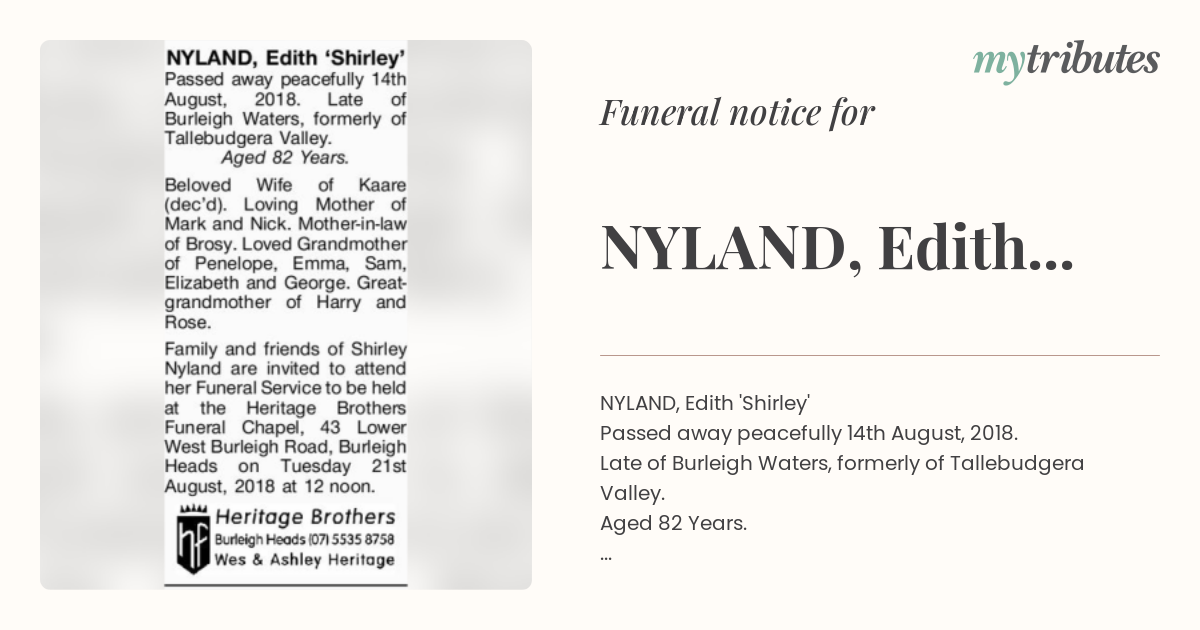 notice opengraph image