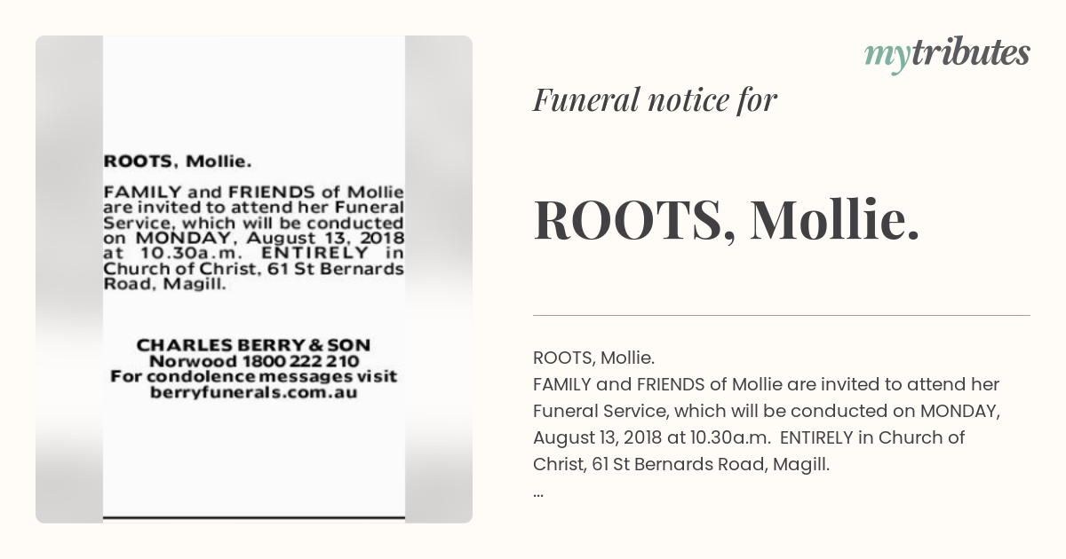 notice opengraph image