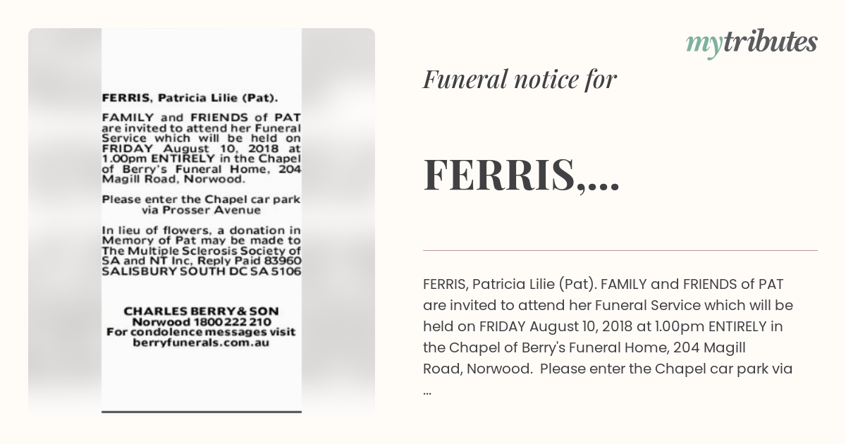 notice opengraph image