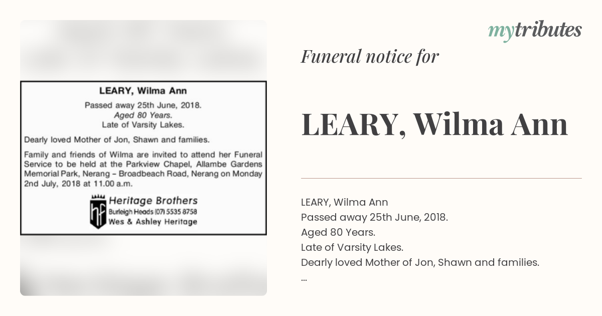 notice opengraph image