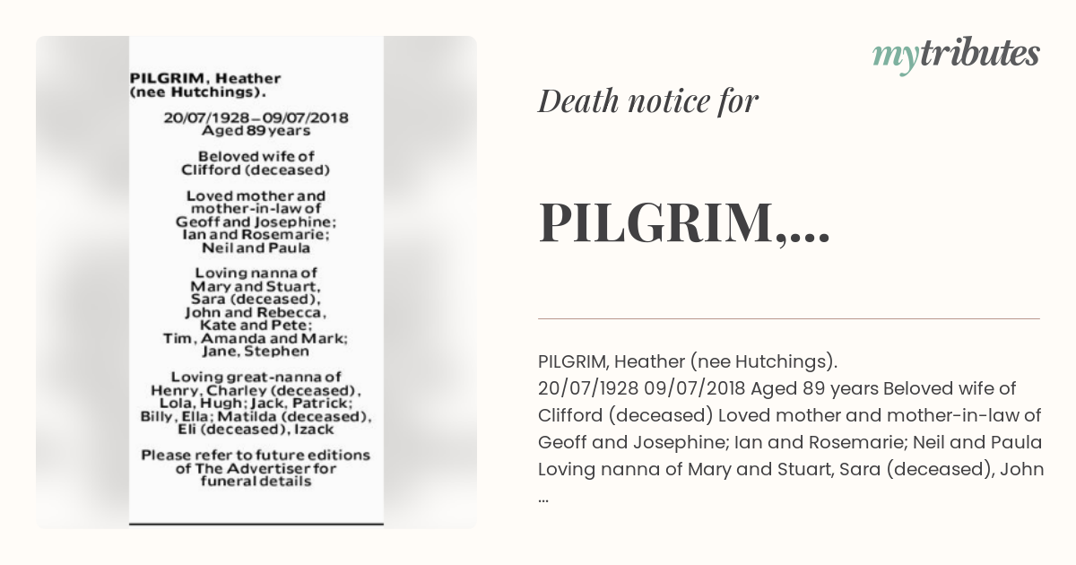 notice opengraph image