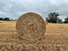 OATEN HAY ROLLS FOR SALE