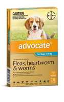 Advocate for Dogs - 6 Pack - Treats Fleas & Worms for Dogs 4-10kg - 6pk