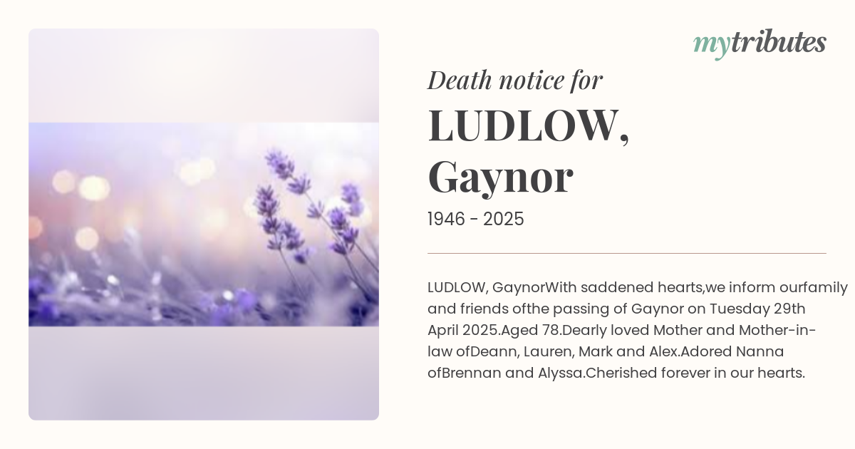 notice opengraph image