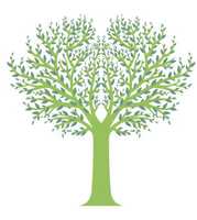 LEASE YOUR LAND FOR CARBON FORESTRY PROJECTSNo upfront or ongoing fees.No risk - we manage it...