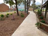 Tenders are called for the licence of the Smithfield West Public School canteen commencing on 21 July...
