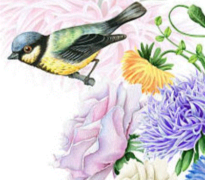 WALSH, Kathy Veronica