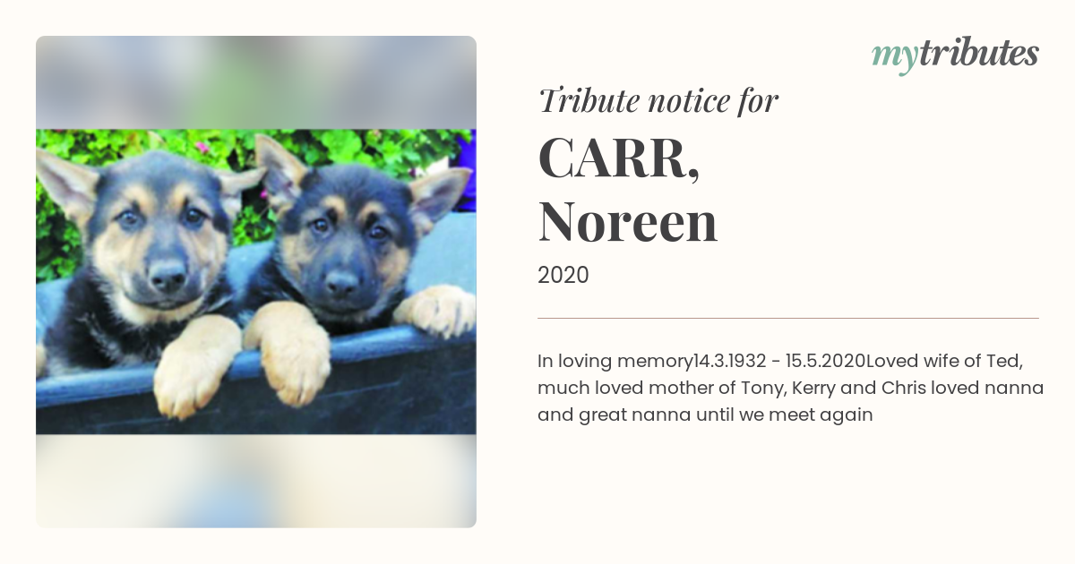 notice opengraph image