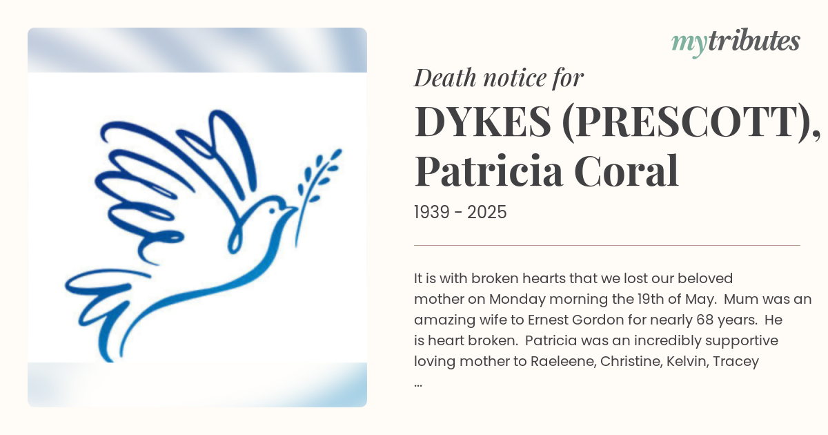 notice opengraph image