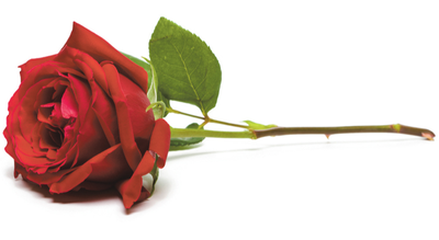 DILLON, Margaret Mary Therese