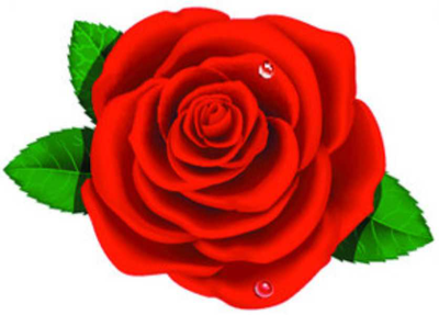 PAULIN, John Robert