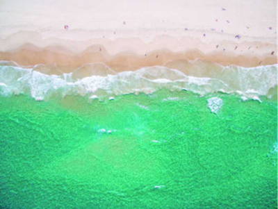 MCDONNELL (NEE DU-MONT), Elaine