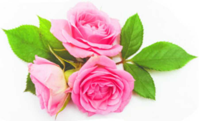 PUNSHON (MILES), Margaret