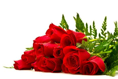 SARA (NEE HARVEY), Desme