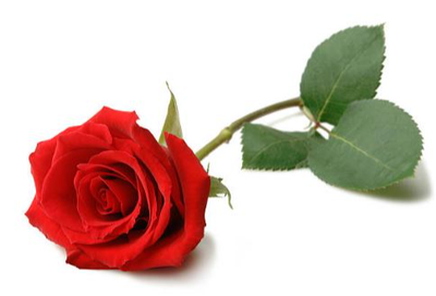 GREGG, Janice May "Jan"