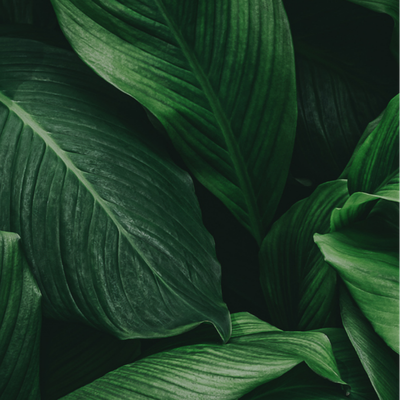 BRITTEN, Timothy Paul