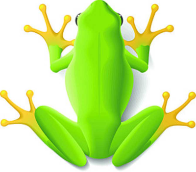 CARNE, Elaine Margaret