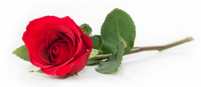 GOODALL, Percy Whitington