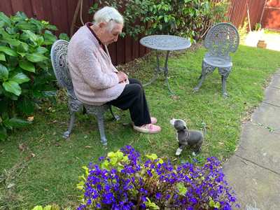 LAWTON, Alexandra Letitia