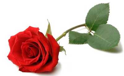 GISMONDO, Mark Anthony