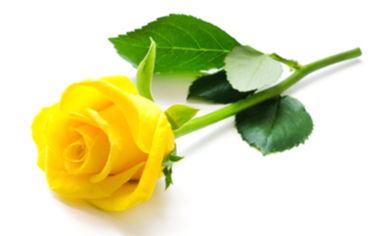 FORD, Patricia Dorothy