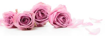 ALTMANN, Janice (Jan)