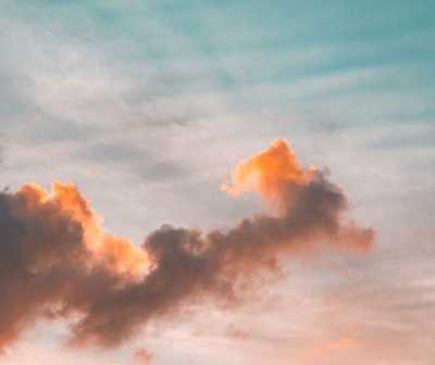 FALCKE, Dorothy Jean