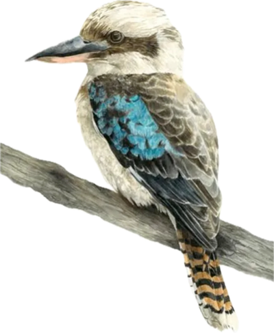 SCHMIDT, Wayne Rodney