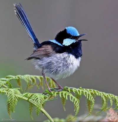 KERSLAKE, Anita Louise