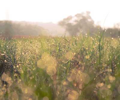 FEATHERSTON, Gary Leslie