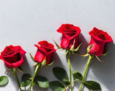 NICOLLE, Edith Muriel