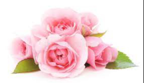 BEAN, Shirley Margaret