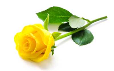 SHANAHAN, Kathleen Clare