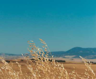 PENDRIGH, (nee Hall) Janet Olive