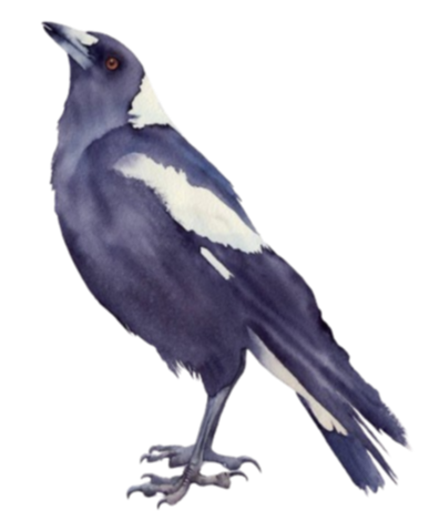 WOOLLEY, Allan Robert