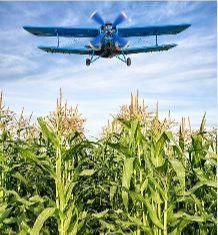 ADAMS, Robert Desmond "Des"