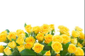 HOLMES, Margaret Jean