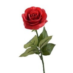 WARREN, Johnny &amp; Doreen