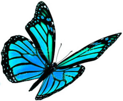 DOWNEY, LACHLAN GLYN