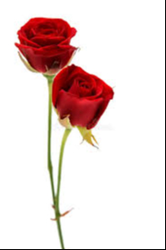 WHITWELL, Reginald (Reg)