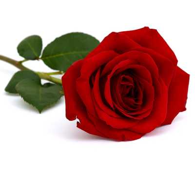 SANDERSON, Malcolm John