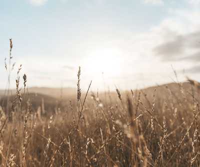 DODDS NE'E STANDEN, Kathleen Mary