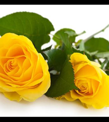 RALPH, Douglas William (Doug)