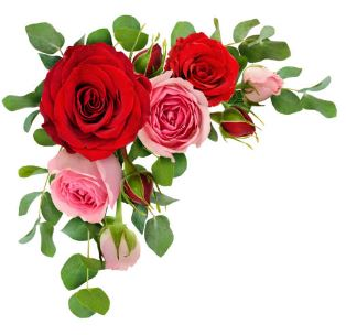 ZUCCO, Rosaria (Rose)