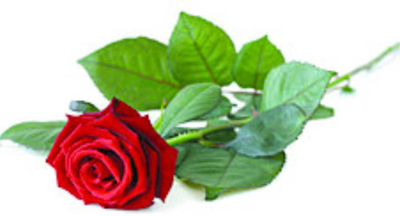 CHAPMAN, William John