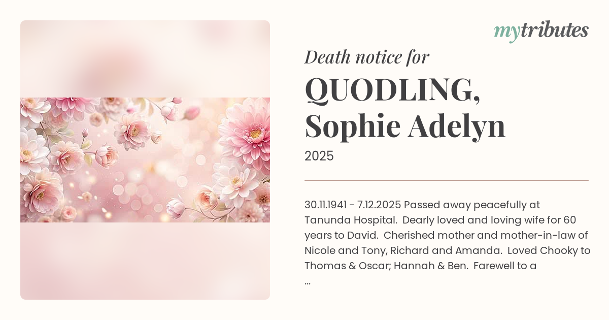 notice opengraph image