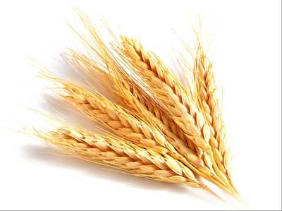 VENNING, Maxwell Francis